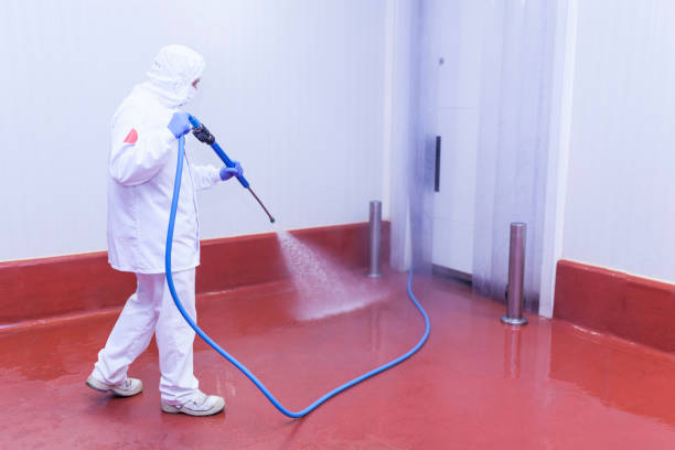 Cheat Lake, WV Pressure Washing Company